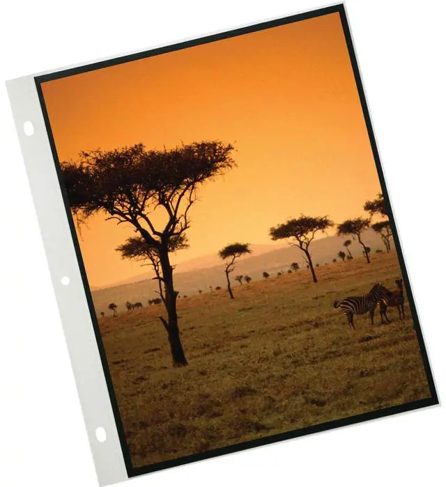 Alt view image 4 of 5 - Itoya 11.7x16.5" A3 Size PolyGlass Refill Pages for Art Profolio Multi-Ring Binder, 10 Pages per Pack