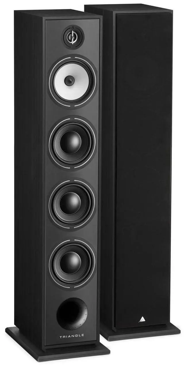 Main image of Triangle Borea BR09 Floorstanding Speaker, Black Ash