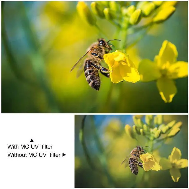 Alt view image 14 of 14 - K&F Concept MCUV Filter 46mm Ultra Slim Optics Multi Coated Ultraviolet Protection Camera UV Lens Filter Compatible With Canon Nikon Sony All DSLR Camera Filter