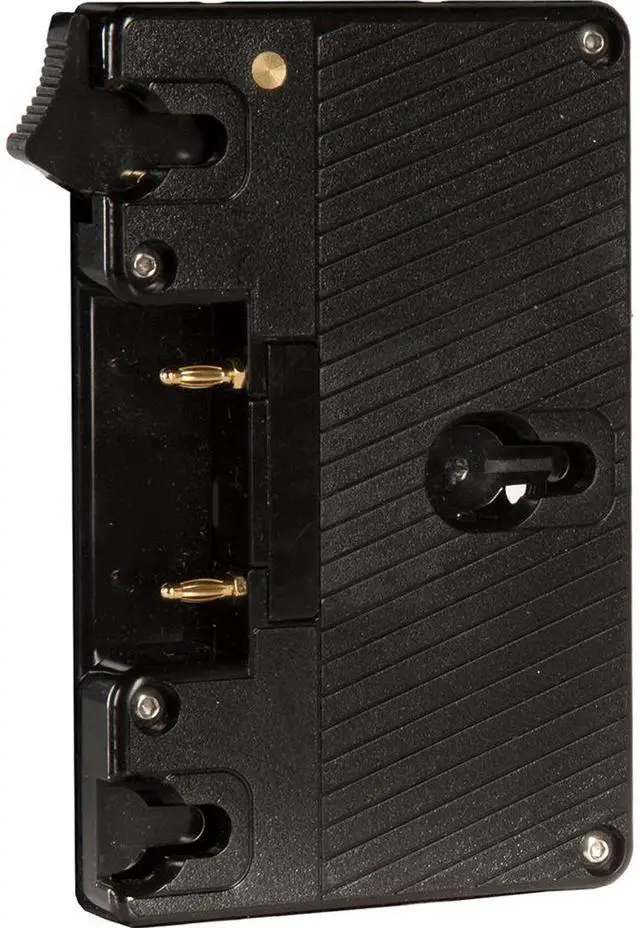 Main image of Shape Gold Mount Lock Plate #ABGL