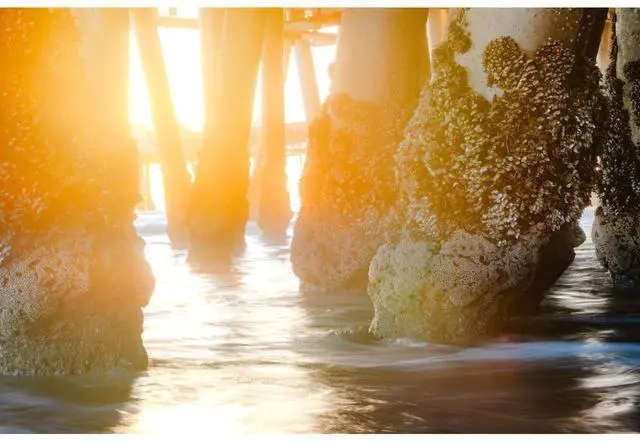 Alt view image 6 of 7 - Tiffen 6.6x6.6" Smoque 1/4 Filter