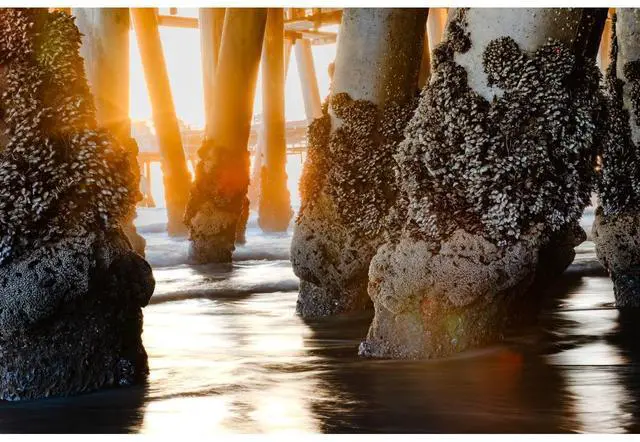 Alt view image 7 of 7 - Tiffen 6.6x6.6" Smoque 1/4 Filter