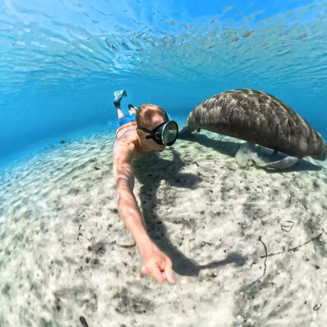 Alt view image 6 of 6 - Insta360 Invisible Dive Case for X5 Action Camera