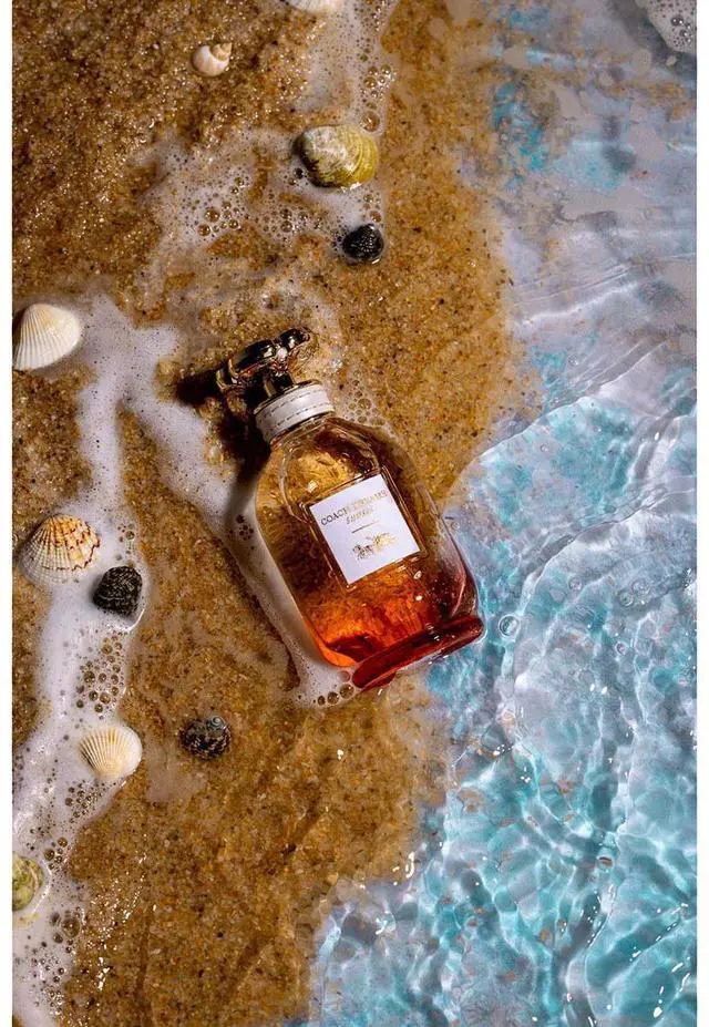 Alt view image 6 of 7 - V-FLAT WORLD 16x12" Photography Aqua Tray