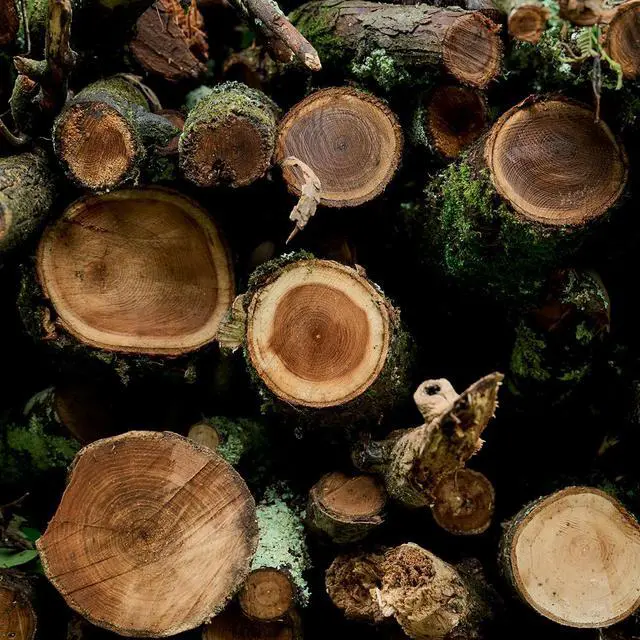 Alt view image 7 of 8 - 35mm F1.2 DG II for Sony E Mount