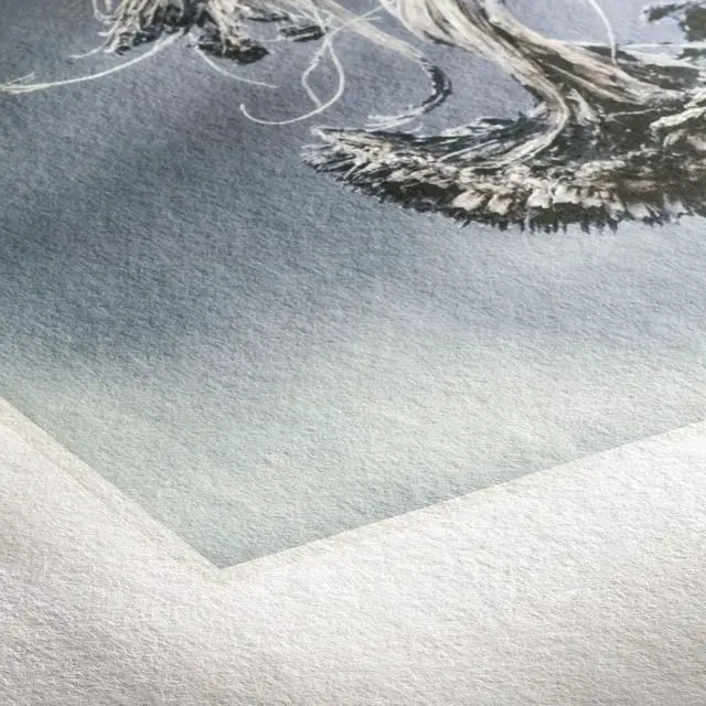 Alt view image 9 of 10 - Hahnemuhle Matte Fine Art Smooth Inkjet Paper Sample Pack, 8.5x11", 14 Sheets
