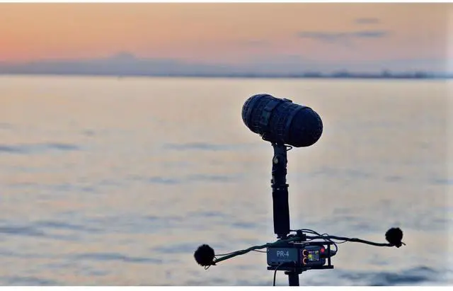 Alt view image 6 of 7 - Deity Microphones Cage for PR-4 Field Recorder