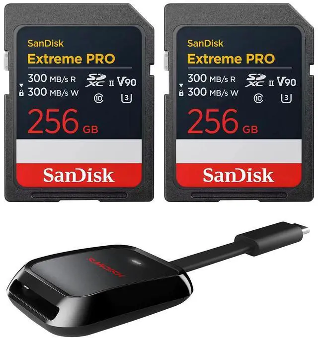 Main image of SanDisk Extreme PRO UHS-II V90 Cards UHS-II 256GB SD 310MB/ #SDSDXDE256GGN4INA