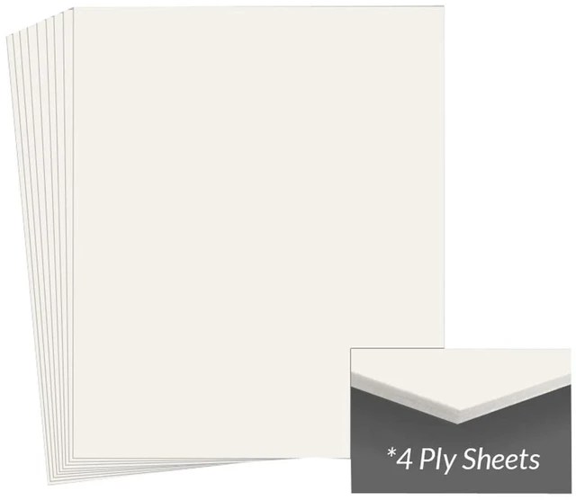 Main image of Archival Methods Mat Board,11x14in,4 Ply,Pearl Wht,25Pk