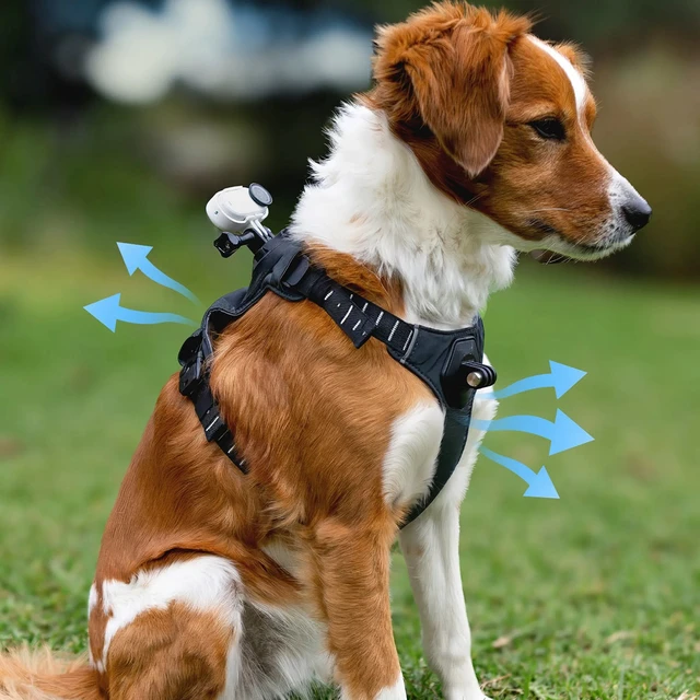 Alt view image 6 of 6 - Insta360 Pet Harness Mount for Action Camera, Medium