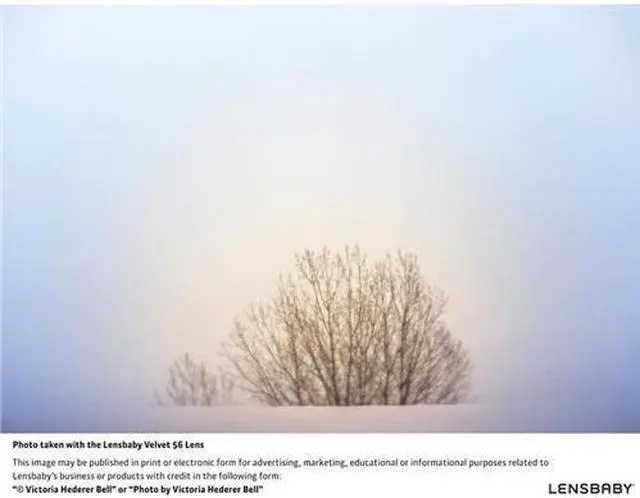 Alt view image 4 of 9 - Lensbaby Velvet 56 56mm f/1.6 Macro Lens for Sony E, Black #LBV56BX