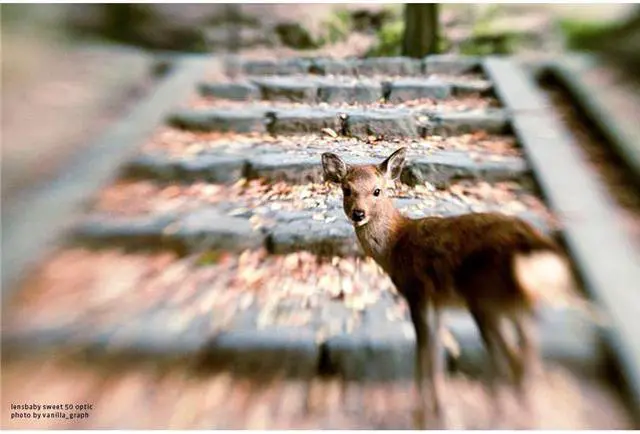 Alt view image 2 of 10 - Lensbaby Composer Pro II with Sweet 50 Optic for Sony E