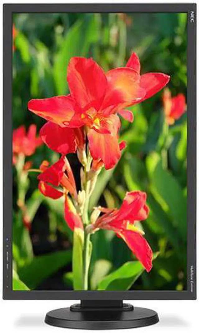 Alt view image 9 of 14 - NEC Display Solutions 24" E245WMI-BK MultiSync Professional Monitor IPS 1920 x 1200, 1000:1 contrast, DisplayPort, DVI-D, VGA, Height & Tilt Adjust, VESA Mountable