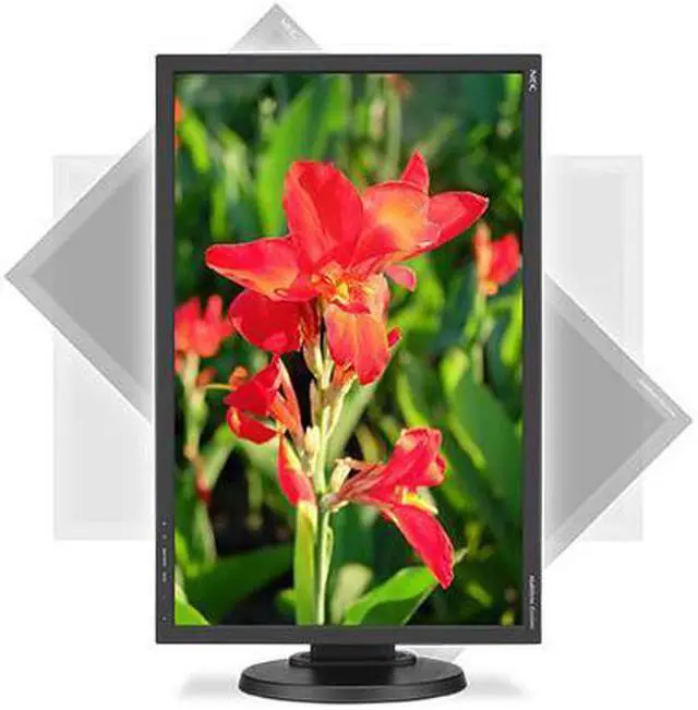 Alt view image 10 of 14 - NEC Display Solutions 24" E245WMI-BK MultiSync Professional Monitor IPS 1920 x 1200, 1000:1 contrast, DisplayPort, DVI-D, VGA, Height & Tilt Adjust, VESA Mountable