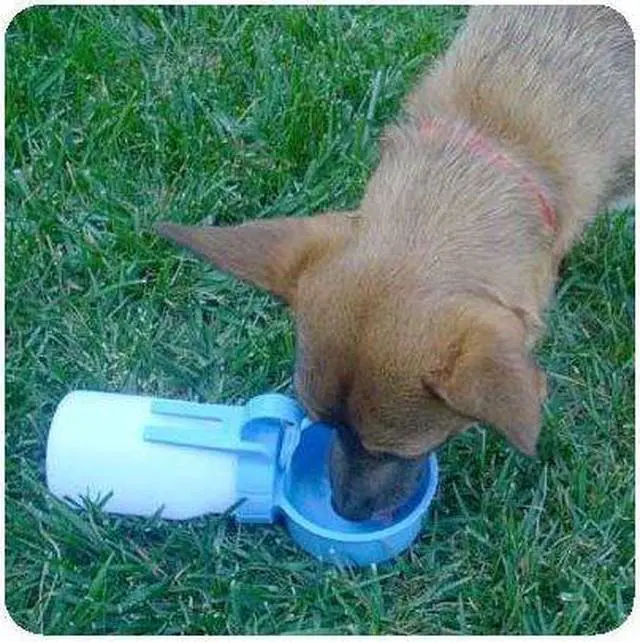 Alt view image 2 of 8 - Water Rover Smaller 3.5-inch Bowl and 8 Ounce Bottle, Blue