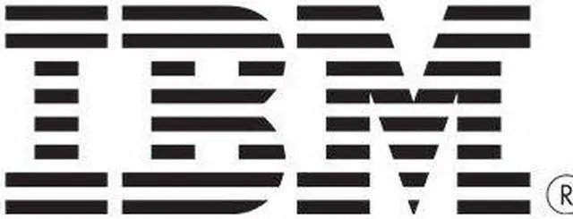 Main image of IBM hard drive - 600 GB - SAS-2