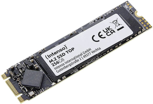 Main image of Intenso Top M.2 256 GB Serial ATA III