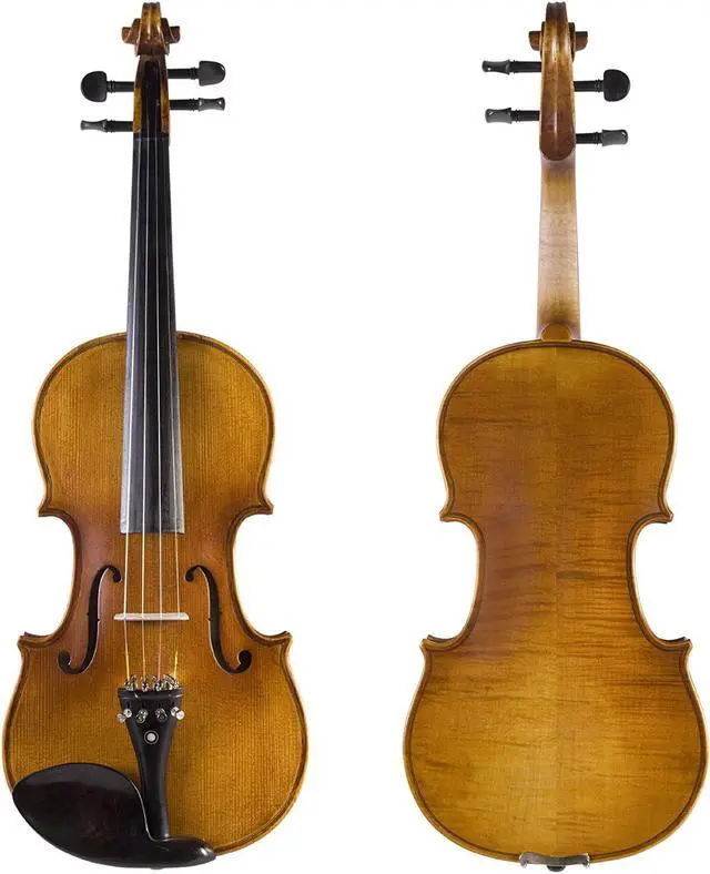 Alt view image 2 of 2 - Cecilio CVN-500 Solidwood Ebony Fitted Violin w/ D'Addario Prelude Strings, 4/4-