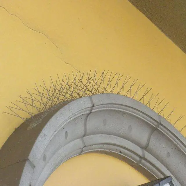 Alt view image 4 of 5 - BIRD BARRIER BP-F3100 Bird Repellent Spikes,Bird-Flite,100 ft.