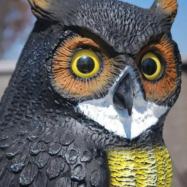 Alt view image 4 of 5 - BIRD BARRIER SD-OWL1 Visual/Audio Bird Repellers,Screech-Owl