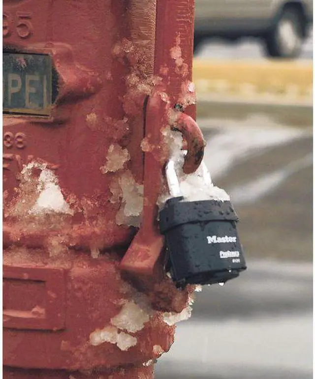 Alt view image 6 of 6 - MASTER LOCK 312KA-0702 Padlock, Keyed Alike, Standard Shackle, Rectangular
