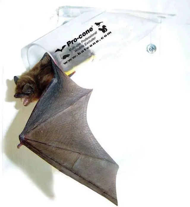 Alt view image 5 of 6 - BIRD BARRIER N8-PC15 Bat Removal Cone,6 in.,PK6