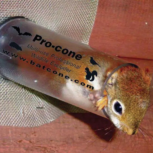 Alt view image 6 of 6 - BIRD BARRIER N8-PC15 Bat Removal Cone,6 in.,PK6