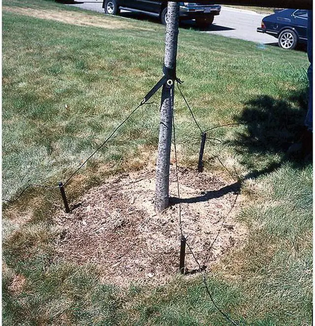 Alt view image 4 of 4 - DEWITT RS15 Tree Stake Kit, Polypropylene, Black