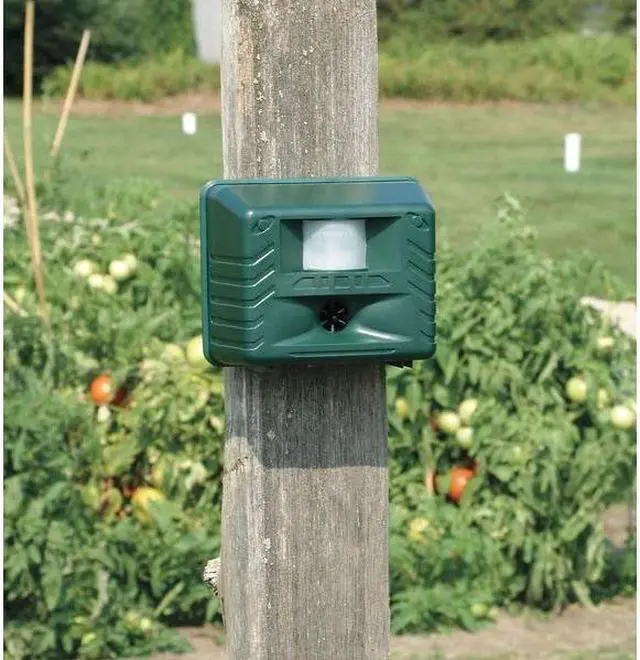 Alt view image 4 of 4 - BIRD-X YG Animal Repeller,Electronic,90dB,2W