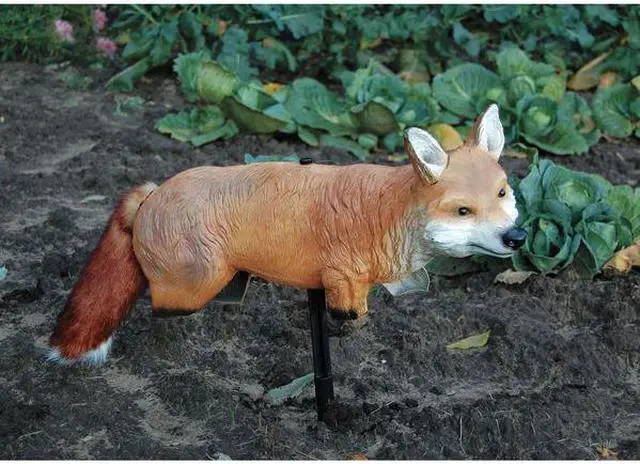 Alt view image 5 of 5 - BIRD-X FOX-3D Fox, 3-D,2 lb.,Poly Rubber