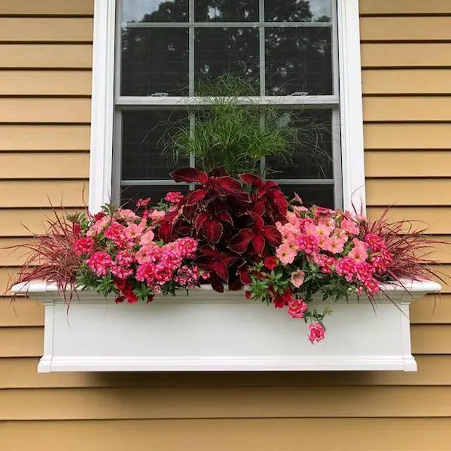 Alt view image 5 of 5 - MAYNE 4824-W Yorkshire Window Box 4' - White
