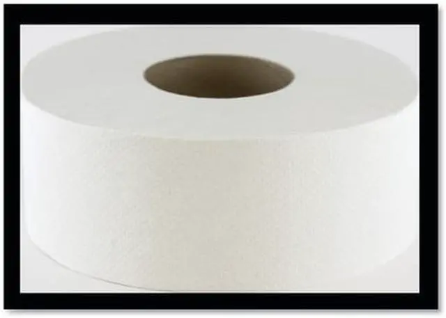 Main image of MORCON PAPER M99 Morsoft Jumbo Toilet Paper, 2 Ply, Continuous Roll, PK12