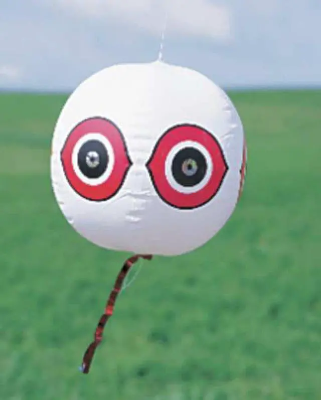 Alt view image 3 of 7 - BIRD-X BLACK SCARE EYES Visual Bird Repellers,Scare Eyes, Black