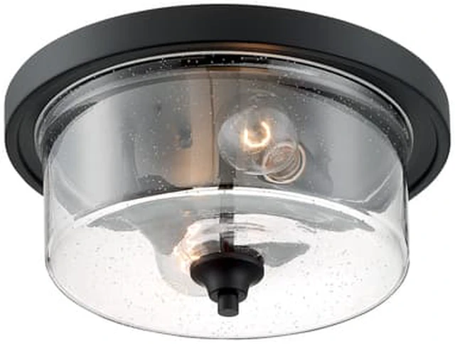 Main image of NUVO 60/7290 Fixture, Flush, 2-Light, Incandescent, 60W, 120V, A19, Medium