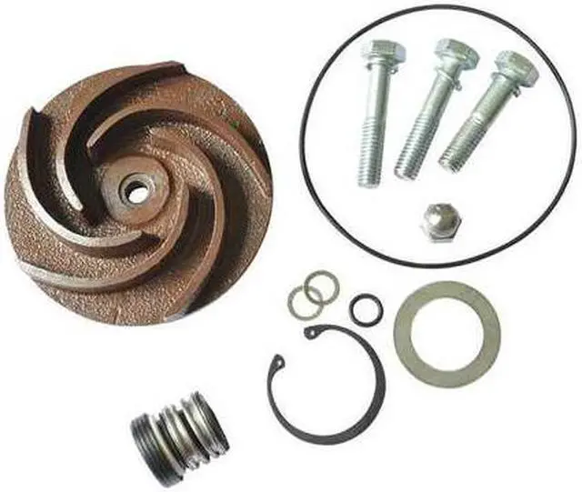 Main image of DAYTON 21TG80 Pump Repair Kit,For 2ZWX8A