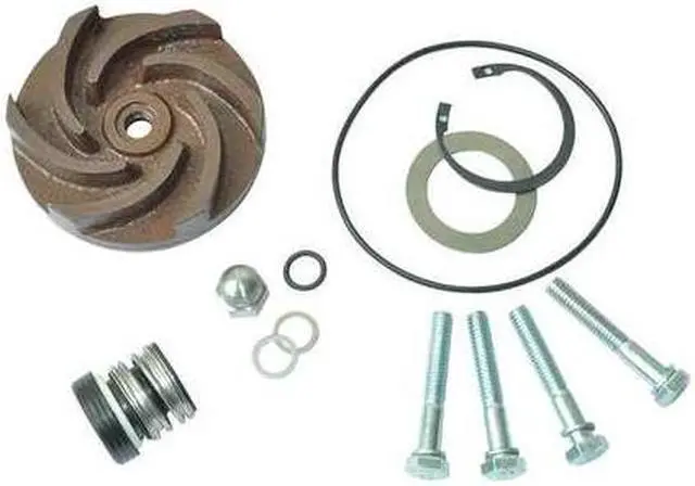 Main image of DAYTON 21TG76 Pump Repair Kit,For 2ZWX4A