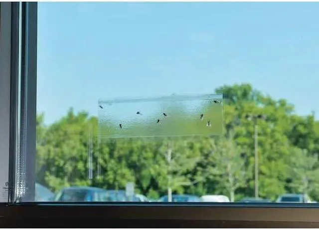 Alt view image 4 of 4 - CATCHMASTER 904 Fly Trap,7 In. L,3 In. W,PK4
