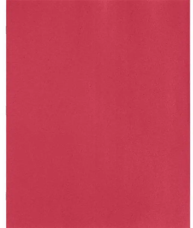 Alt view image 10 of 11 - Business Source 2-Pocket Folders 100 Sh Cap Ltr 9-1/2"x11" 25/BX RD 78510