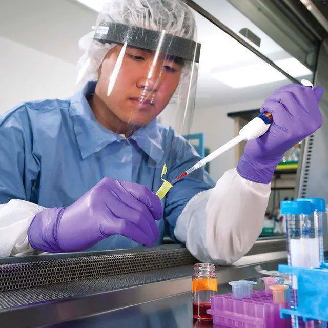 Alt view image 2 of 4 - KIMTECH 55083 Purple Nitrile, Nitrile Exam Gloves, 6 mil Palm, Beaded Cuff,