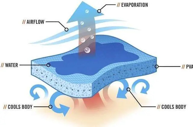 Alt view image 2 of 3 - ERGODYNE 6705CT Cooling Bandana,One Size,PVA And Cotton