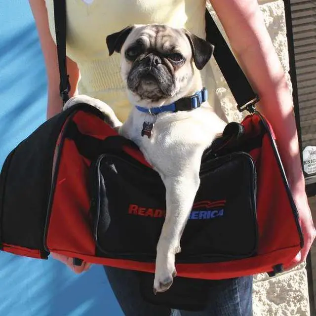 Alt view image 2 of 2 - READY AMERICA 77150 Dog Emergency Kit, Fabric 25 Components, 1 People Served