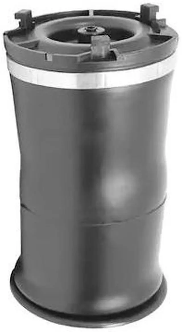 Main image of UNITY 15-599000 15-599000 Rear Air Spring