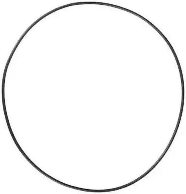 Main image of DAYTON PP60079G O-Ring,Viton