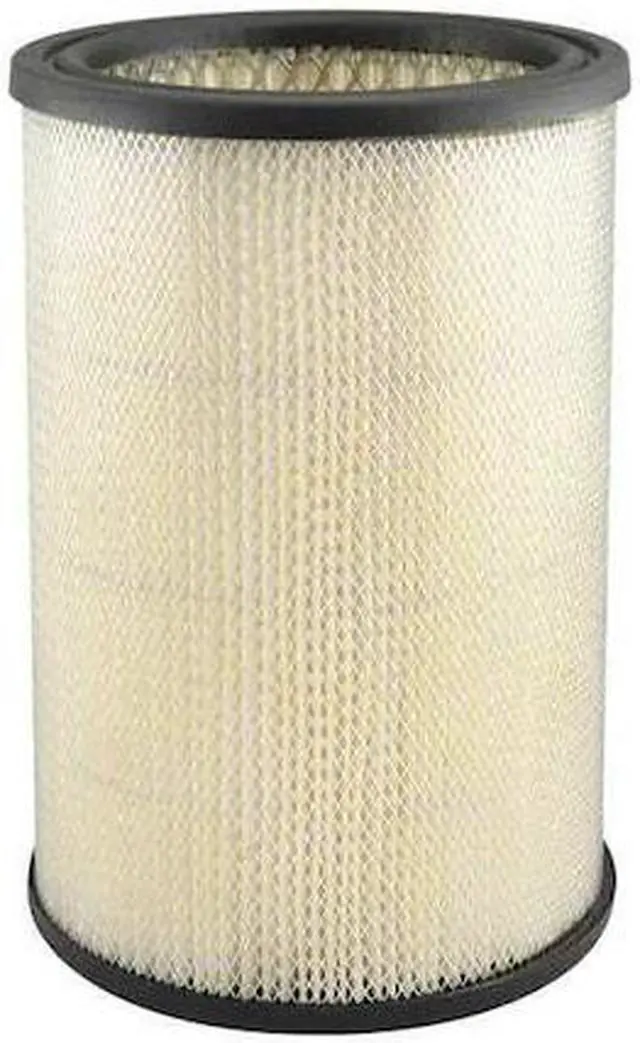 Main image of BALDWIN FILTERS PA653 Air Filter,6 x 8-9/16 in.