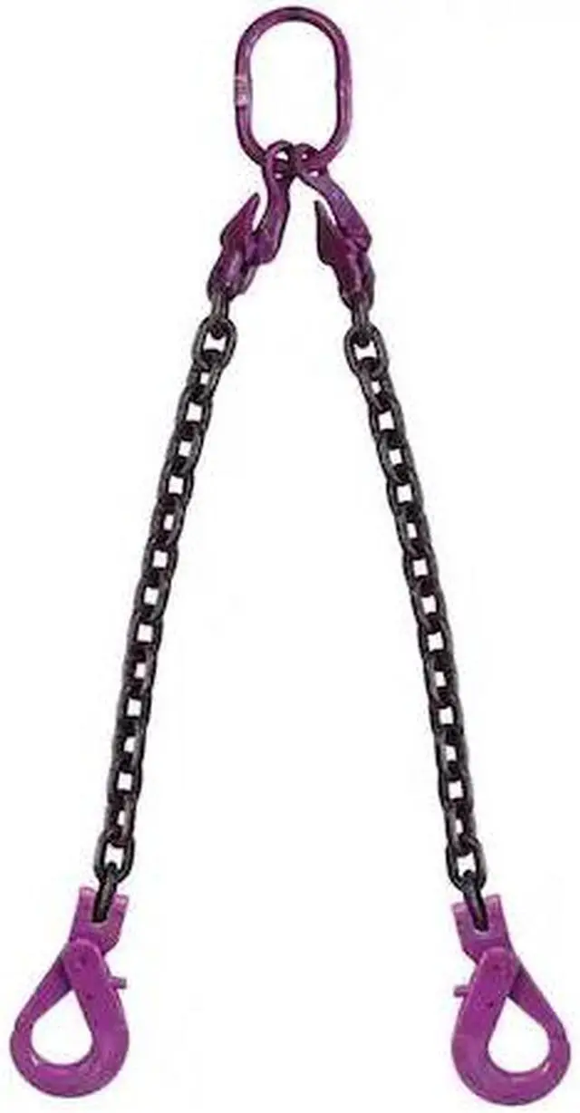 Main image of US CARGO CONTROL 38G100DOSLA-10 3/8" x 10',Adjustable 2Leg Chain Sling w/