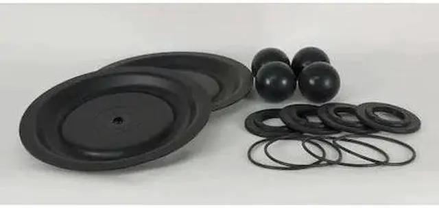 Main image of DAYTON 22A620 Pump Repair Kit,Santoprene,Fluid,1 In.