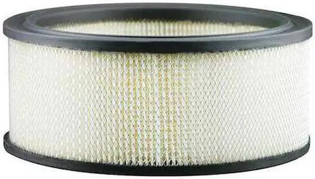Main image of BALDWIN FILTERS PA3901 Air Filter,6-31/32 x 3 in.