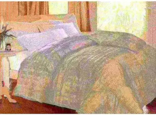 Main image of BLUE RIDGE 013417 400 TC Windowpane White Goose Down Comforter, Ivory,