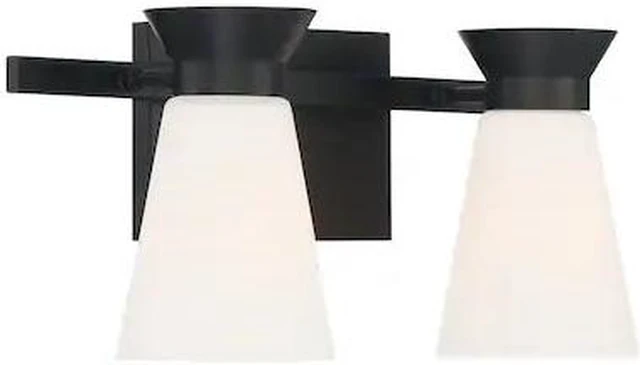 Main image of NUVO 60/7312 Fixture, Vanity, 2-Light, Incandescent, 60W, 120V, A19, Medium