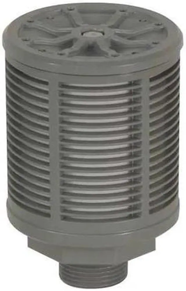 Main image of DAYTON 22A609 Pump Muffler,40 Micron,1 In NPT In.